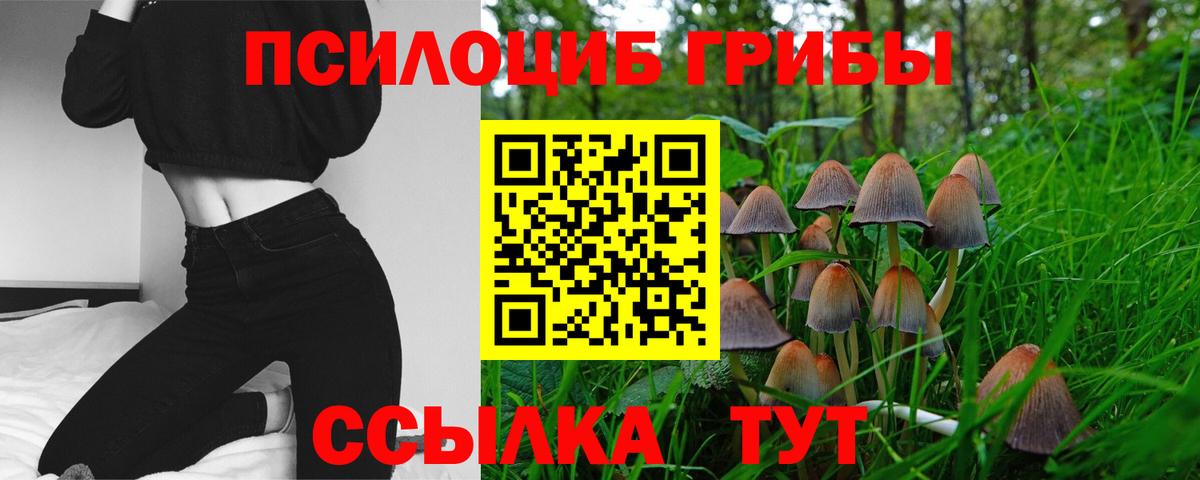 Псилоцибиновые грибы GOLDEN TEACHER  как найти   Губкинский  Вход с VPN 
